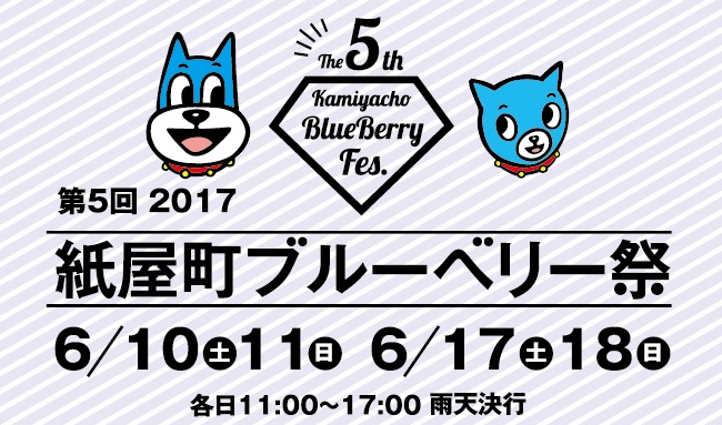 blueberrymatsuri